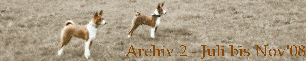 Archiv 2 - Juli bis Nov'08