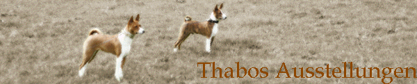 Thabos Ausstellungen
